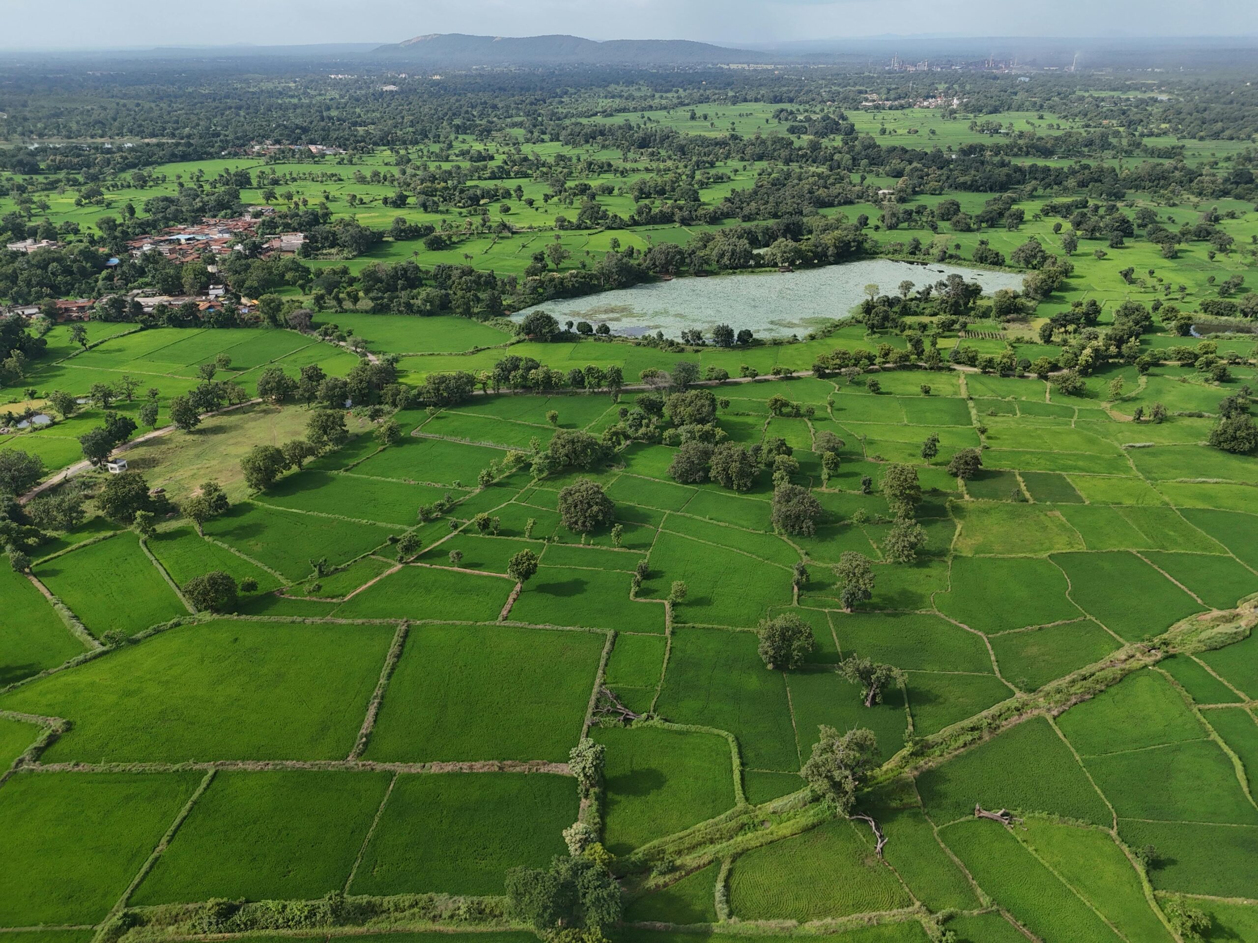 Stunning aerial view of lush green fields and a pond under bright daylight, showcasing natural beauty.